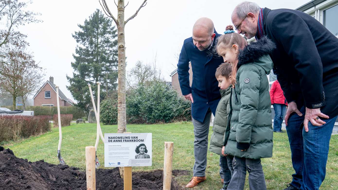 Gemeente plant Anne Frankboom bij Onderduikersmuseum de Duikelaar Nieuwlande