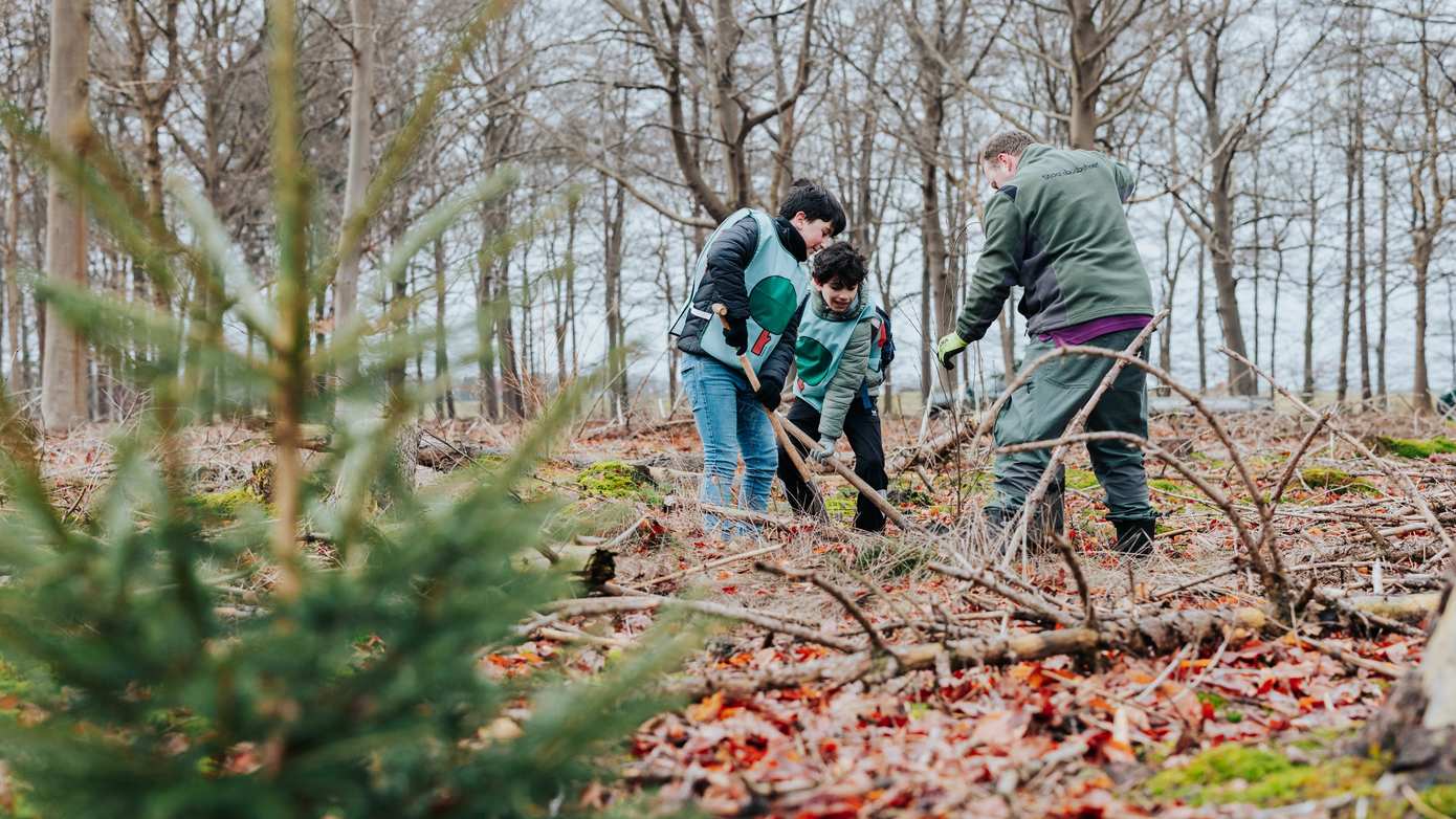 600 bomen erbij in Exloo/Ees tijdens Boomfeestdag 
