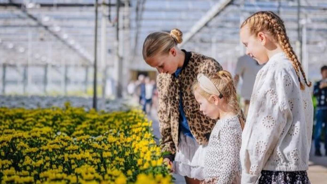 Deze zeven kwekers in regio Emmen openen hun deuren tijdens Kom in de Kas 