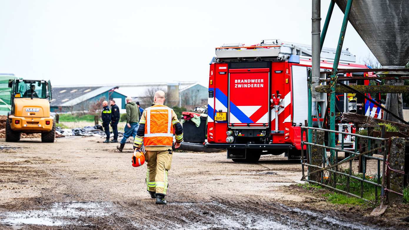 Koeien overleden na vrijkomen van giftig gas in stal
