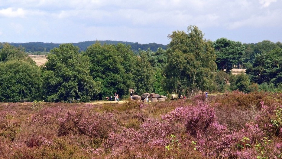 Provincie Drenthe legt geactualiseerd Natura 2000 beheerplan Holtingerveld ter inzage