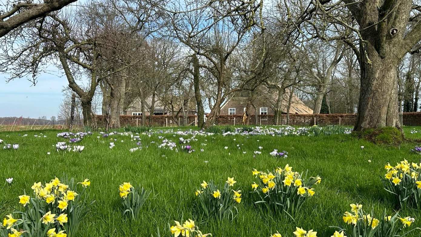 Kruidenrijk Drentsche Aa staat centraal tijdens inspiratiemiddag 12 juni