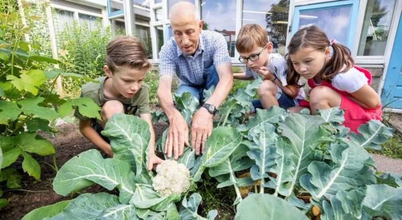 Moestuincoaches gezocht voor scholen in Noord-Nederland