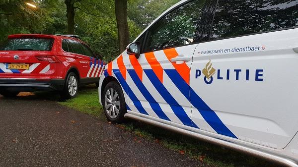 Boom valt op auto en bedrijfsbusjes in Meppel (Video)