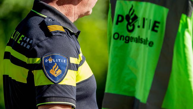 Kat overleden na ernstige mishandeling; politie doet onderzoek