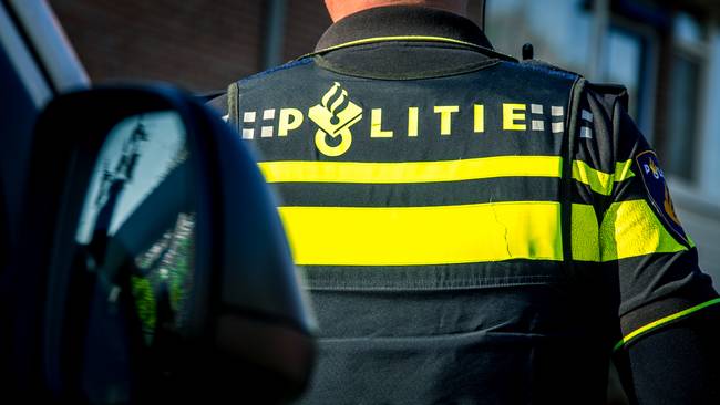 Politie vindt hennepkwekerij in woning met 482 planten