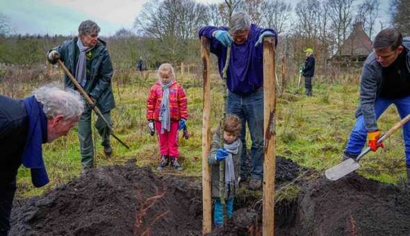 Inwoners Drenthe maken kans op 50 bomen voor de buurt